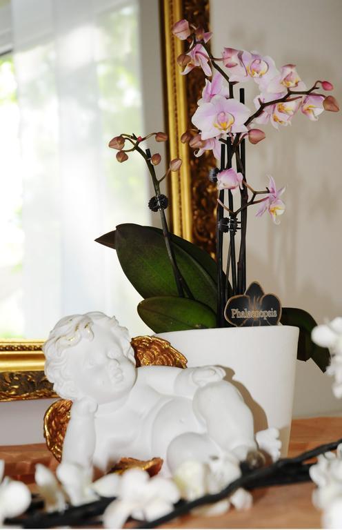 Hotel Blankenese ฮัมบูร์ก ภายนอก รูปภาพ